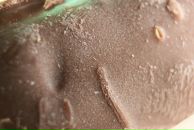 Фотография Мамыча Кирилла