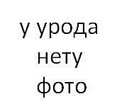 №10, Елизавета Галимова №10, Елизавета Галимова