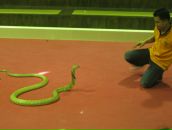 Дмитрий Будаев фотография #45 (источник - https://vk.com/id126354)