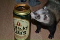 Фотография Струкова Евгения