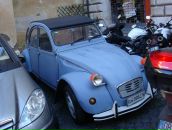 Фотография Новикова Елена