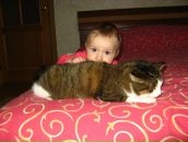 Фотография Котовой Елизаветы