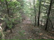 Назар Сорокін фотография #24 (источник - https://vk.com/id16959960)