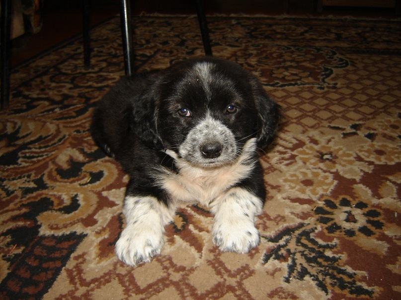 Игорь Донец фотография #47