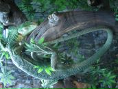 Фотография Родионова Виталия