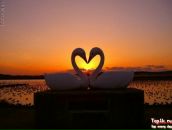 Фотография Бородиной Марины