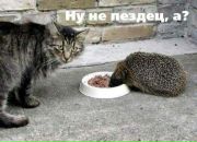 Андрій Юсин фотография #14 (источник - https://vk.com/id22227332)