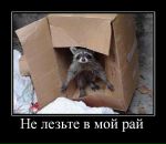 Фотография Бастриковой Надежды