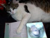 Фотография Беловой Иннессы