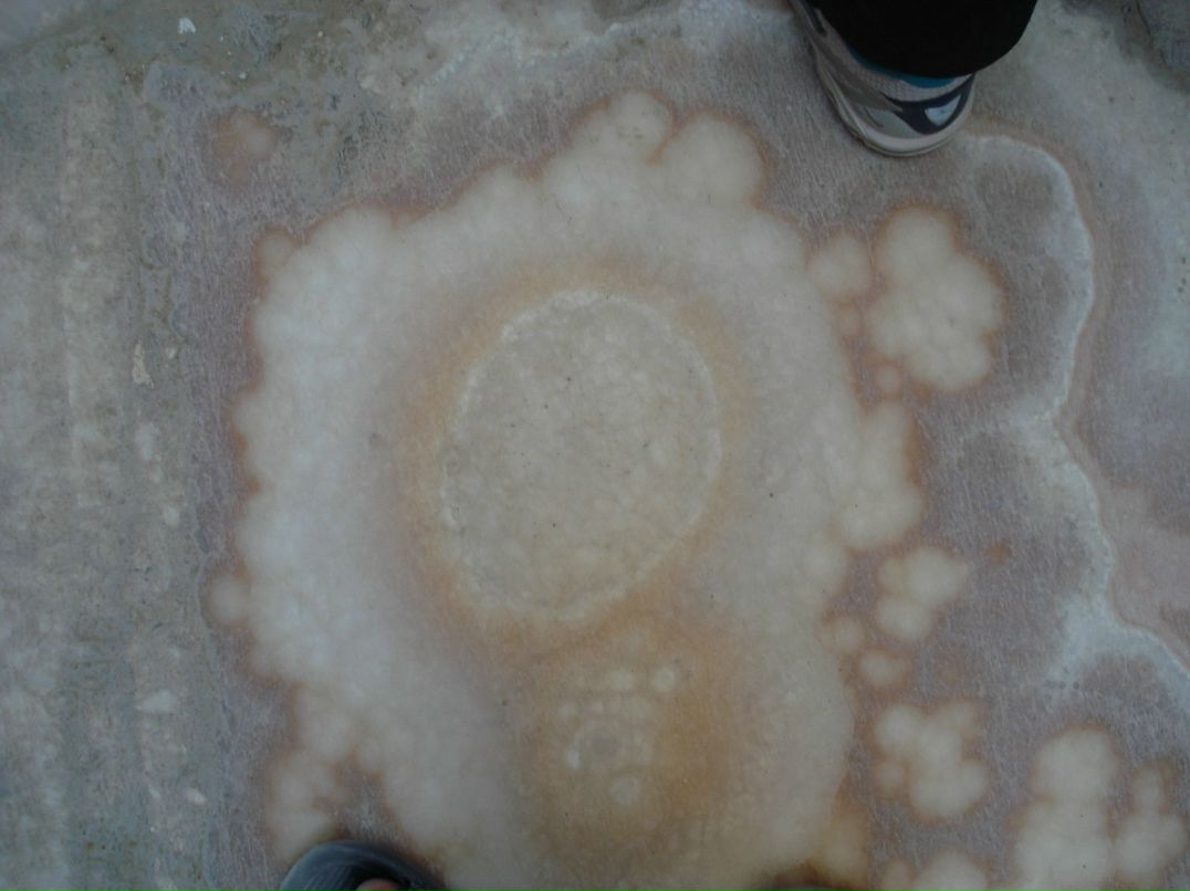 Дмитрий Лаёв фотография #17