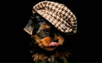 Наталія Пасаман фотография #2 (источник - https://vk.com/id78704702)