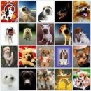 Марія Лайтар фотография #24 (источник - https://vk.com/id98281348)