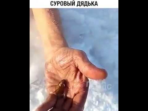 Дядя Федя жарит свою жену Дядя Федя жарит свою жену