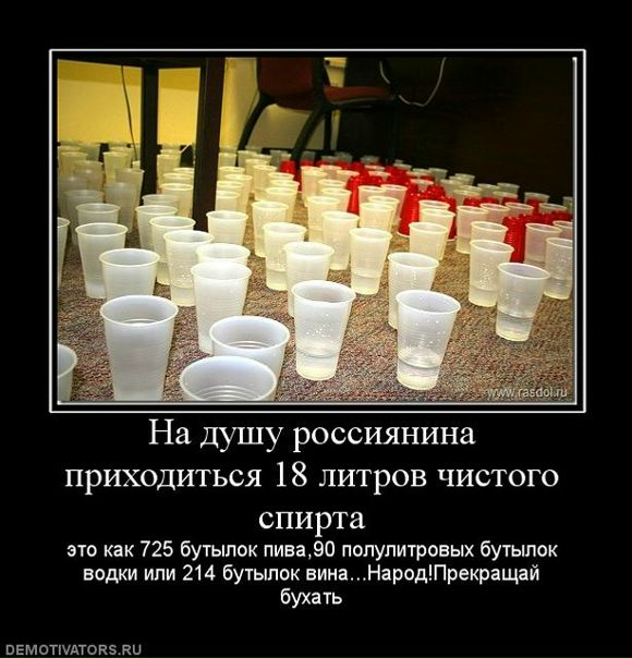 Дмитрий Шитов фото №19