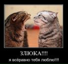 Фотография Анисимовой Ирины