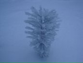 Фотография Тараненко Веры