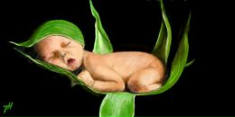 Фотография Потаповой Екатерины