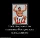  фотография #4