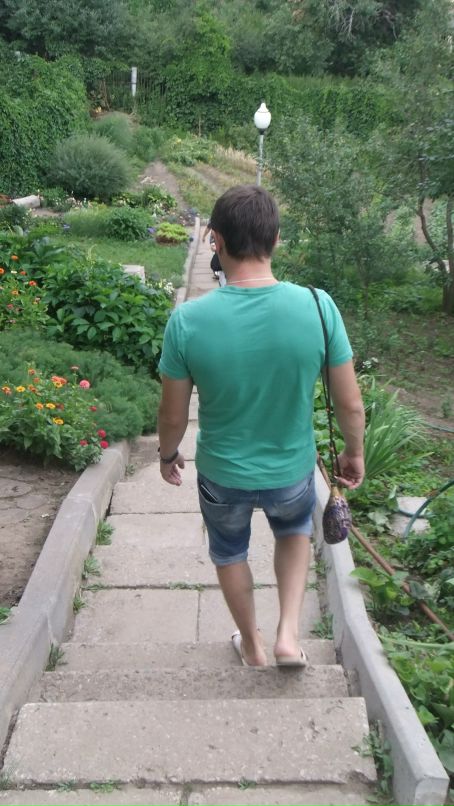 Lipton Yellowtea фотография #35