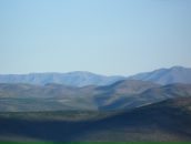 Дмитрий Тарасенко фотография #12 (источник - https://vk.com/id276015)