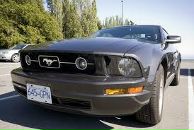 Міша Сабат фотография #6 (источник - https://vk.com/id112923377)