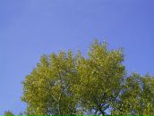 Вадим Арістов фотография #22 (источник - https://vk.com/id6874585)