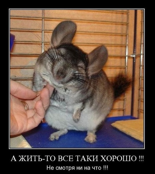 №16, Юлия Прохорская, Москва, Россия №16, Юлия Прохорская, Москва, Россия