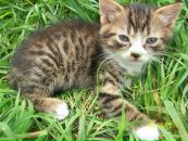 Іннуся Ануфрієва фотография #14 (источник - https://vk.com/id53040006)