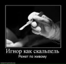 ***tom*** ^^^soer^^^ фотография #3 (источник - https://vk.com/id74802128)