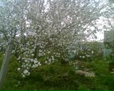 Фотография Обыденновой Ирины