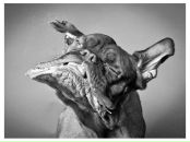 Фотография Федотова Максима