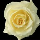 Інна Тітова фотография #1