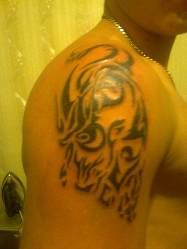 Иван Черников фотография #42