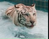 Іван Лосюк фотография #3 (источник - https://vk.com/id29498794)