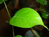 Фотография Голубевой Татьяны