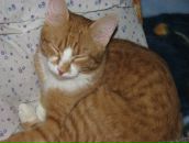 Фотография Новоселовой Лейлы