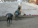 Фотография Пановой Ольги