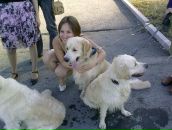 Фотография Коробец Елены