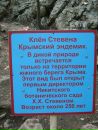 Олег Бойківський фотография #20 (источник - https://vk.com/id11213569)