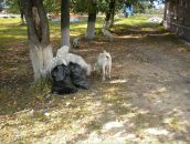 Фотография Туголукова Димы