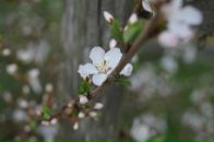 Фотография Юткиной Ирины