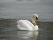 Юра Глібка фотография #24 (источник - https://vk.com/id53235697)