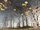 Фотография Старцева Акеслея