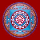 Фотография Волковой Светланы