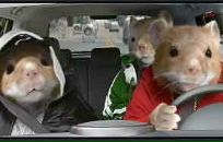 Фотография Первенкова Мишани