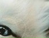 Лєра Щербина фотография #23 (источник - https://vk.com/id68521705)