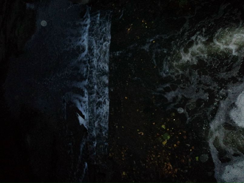 Сергей Якушенко фото №14