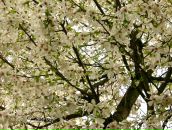 Сергій Хеміч фотография #39 (источник - https://vk.com/id11054151)