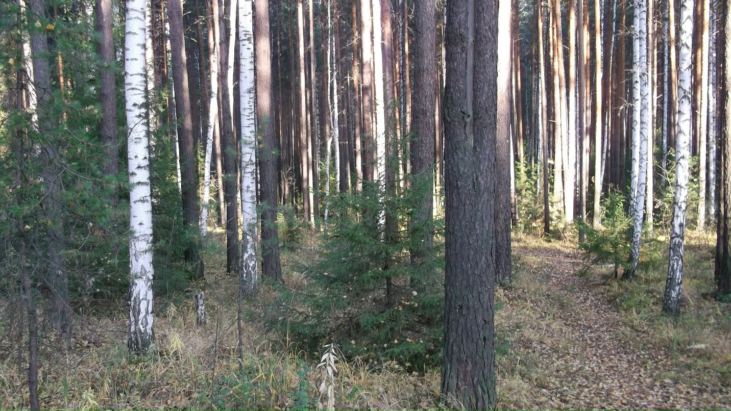 Александр Бабенко фотография #45