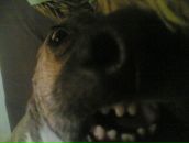 Максим Куварзін фотография #38 (источник - https://vk.com/id6530006)